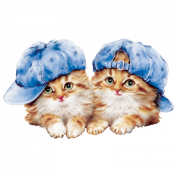 Cats (Kitten pair with hats)