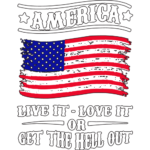 Flag (America live it or love it or get out)