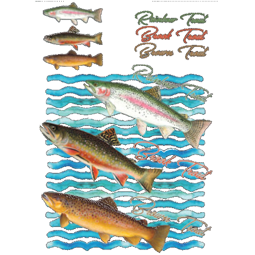 Fish (trout)