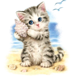Cat (Seashell Kitten)