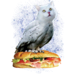 Meowl (Cat Owl on a Sub)