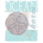 Ocean Shores (Sand Dollar)