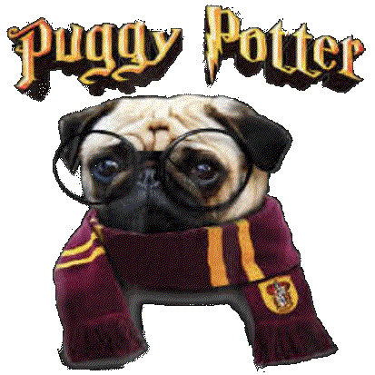 Dog (Puggy Potter/Pug)