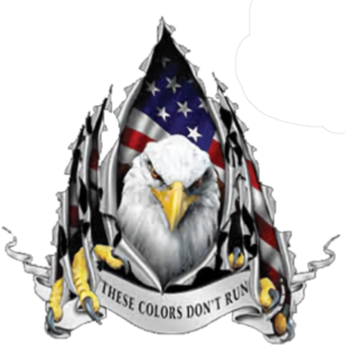 Eagle (These Colors Don't Run)