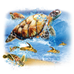 Turtles (Into the Sea)