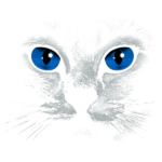 Cat (Blue Eyes – Black)