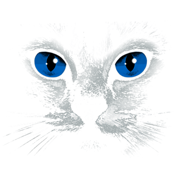 Cat (Blue Eyes - Black)