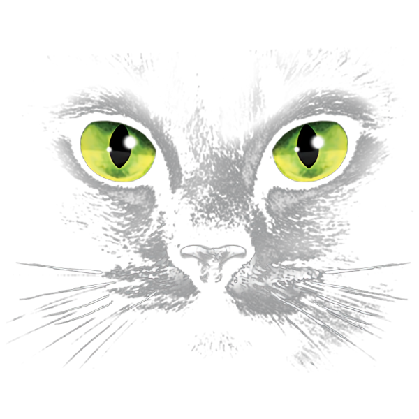 Cat (Green Eyes - Black)