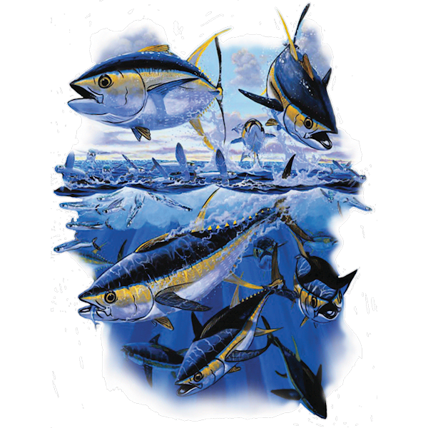 Fish (Yellow Fin Tuna)