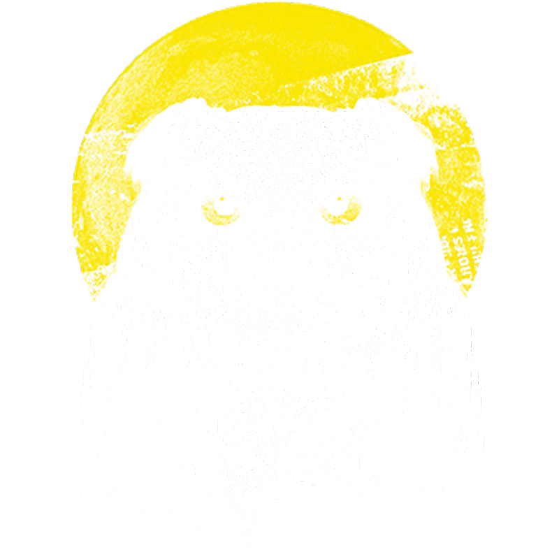 Owl (Night Owl)