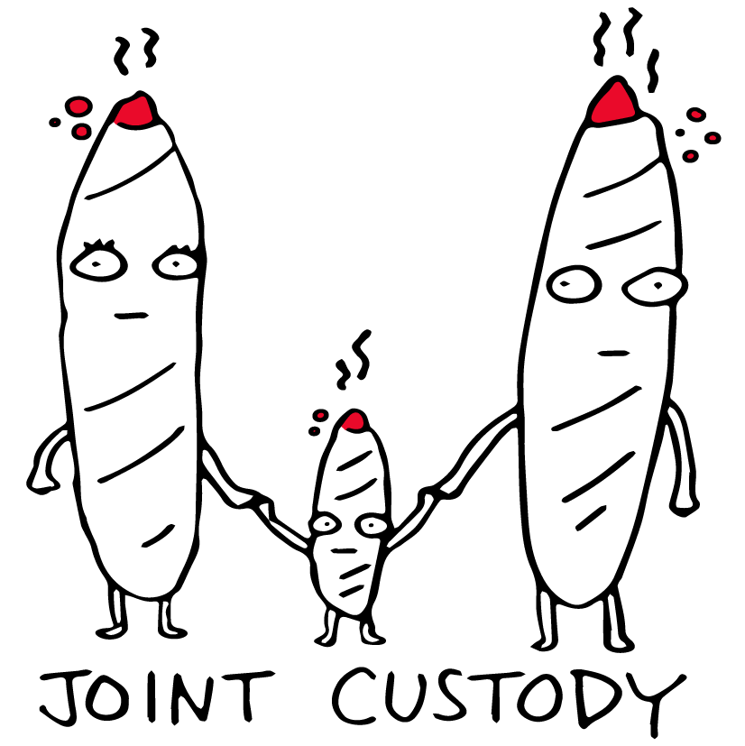 Joint Custody