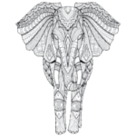Elephant (Front facing)