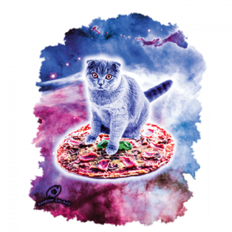 Cat (Grey Cat Riding Pizza)