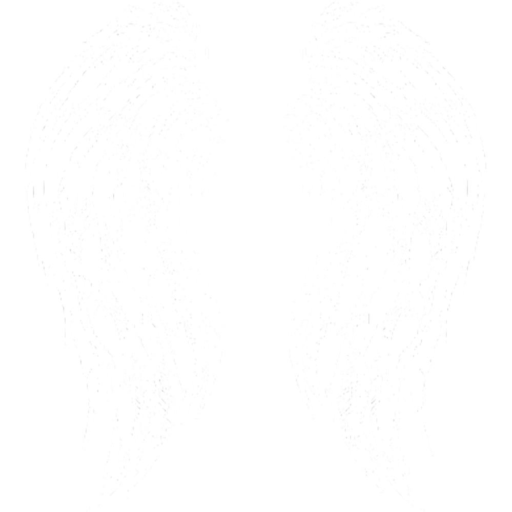 Angel Wings (White Pencil Art)