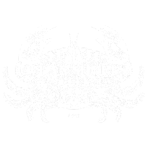 Ocean Shores Crab (2023)