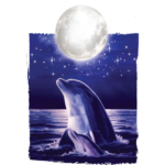 Dolphin (moon)