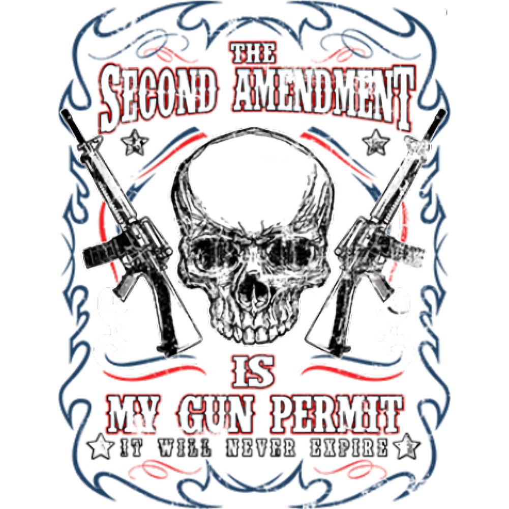 Second Amendment (My Gun Permit)