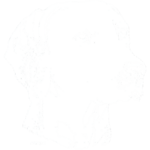 Dog (Weimaraner – Pencil Scratchboard Design)