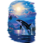 Orca (Moonrise – Joyful Time – Killer Whale)