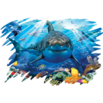 Shark (Great White – Coral Reef)