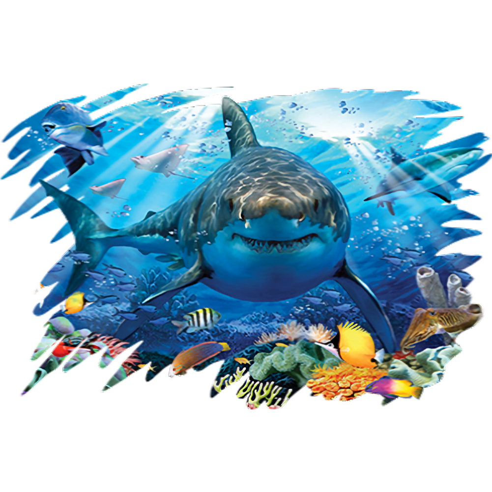 Shark (Great White - Coral Reef)