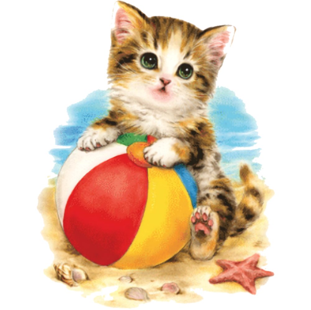 Solar (Beachball Kitten - Cat)