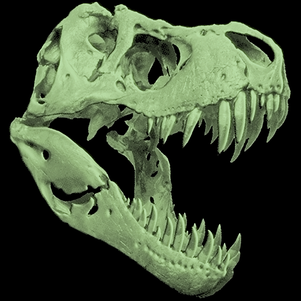 T-Rex (Skull Glow in the Dark)