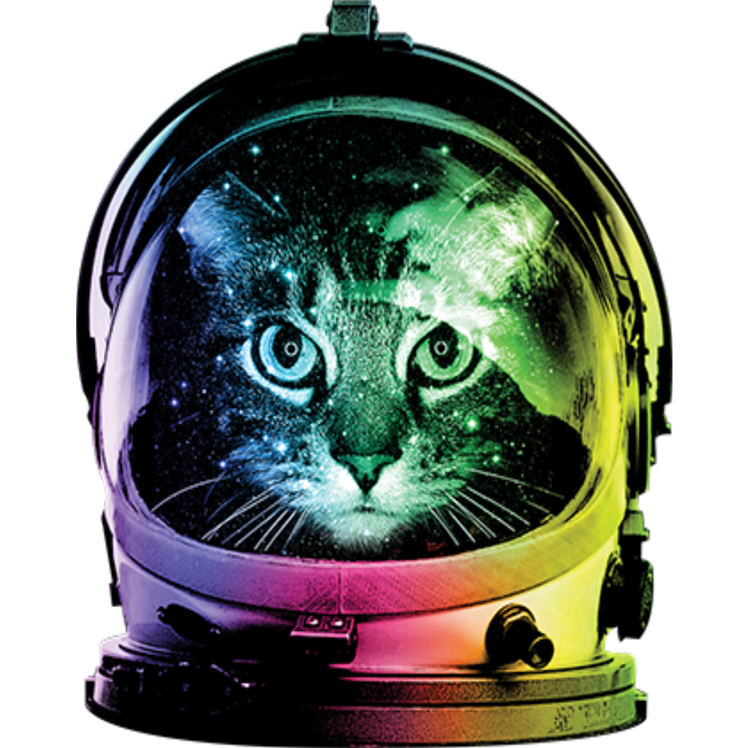 Cat (Space Cat)