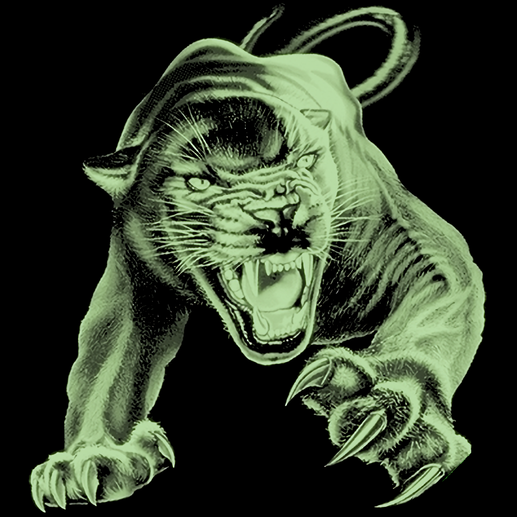 Panther (Panther Attack Glow in the Dark)