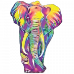 Elephant (Colorful)