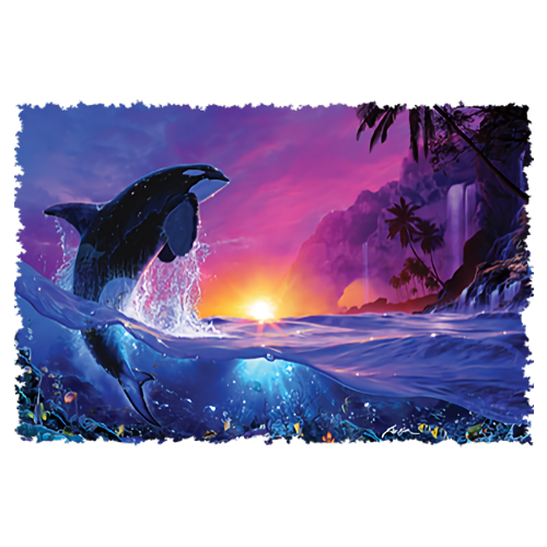 Orca Sunset (Killer Whale)
