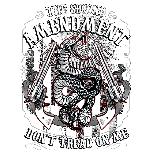 2nd Amendment (Don't Tread on Me)