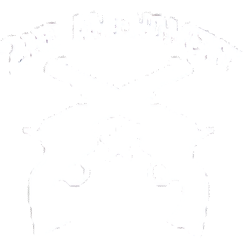 2nd Amendment Pocket Print (Guns)