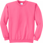 Neon Pink Crewneck Sweatshirt