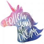 Unicorn (Follow Your Dreams)