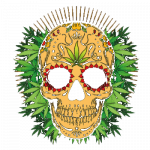 Skull (Cannabis)