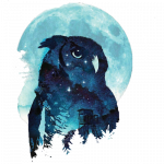 Owl (Moon/Outpost)
