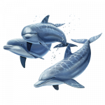 Dolphins (3D)