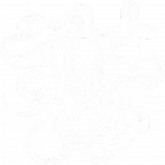 Ocean Shores Octopus