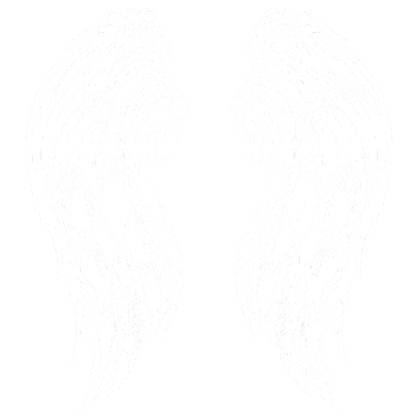 Wings (Pencil Art)