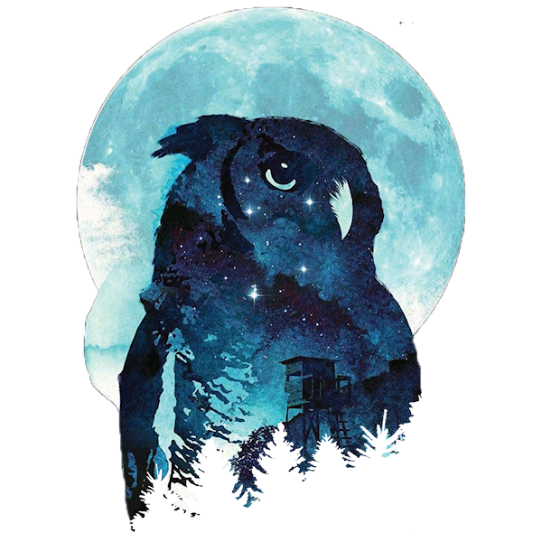 Owl (Moon/Outpost)