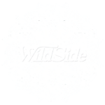 Mandala Star Pattern
