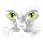 Cat (Green Eyes – Black)