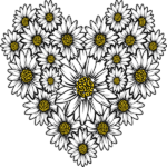 Heart of Daisies (Flower)