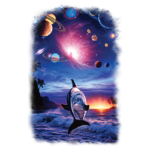Dolphin (Planets-Sunset-Eternity)