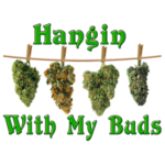 Hanging with the Buds (plant stem)