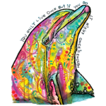 Dolphin (Colorful)