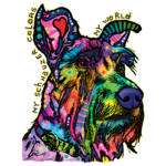 Dog (MY SCHNAUZER-Colorful)