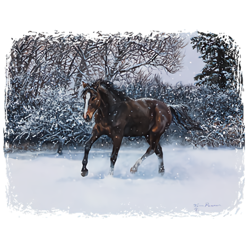 Horse (Winters Dance-Snow)