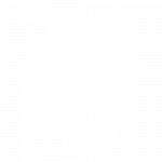 Owl (Skull Wings)